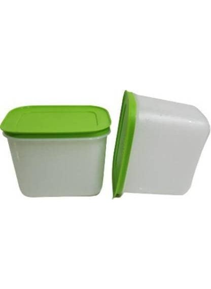 Tupperware Plastic Utility Container 1100 ml Pack of 2 (Multicolor)