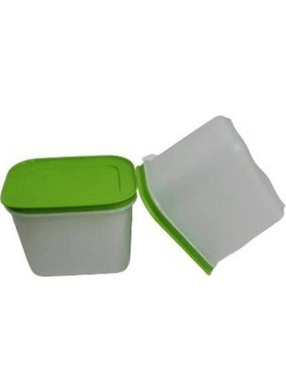 Tupperware Plastic Utility Container 1100 ml Pack of 2 (Multicolor)
