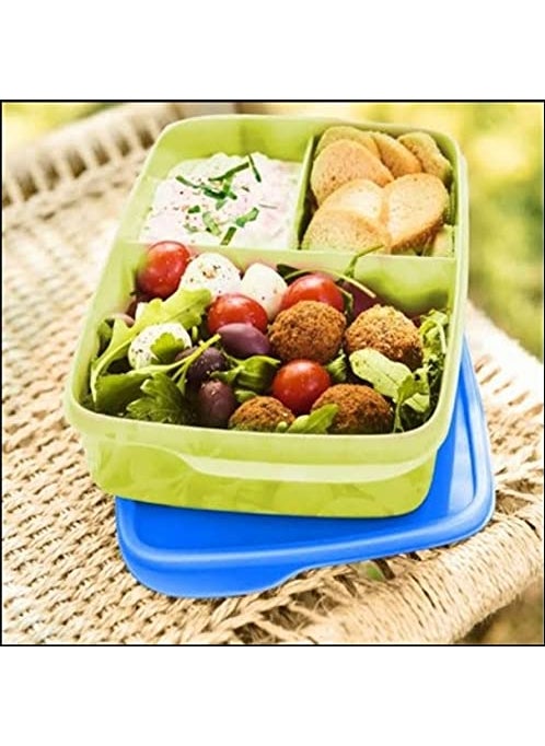 Tupperware . Plastic Kids Divide Lunch-1 Pc,1Liters,Multicolor