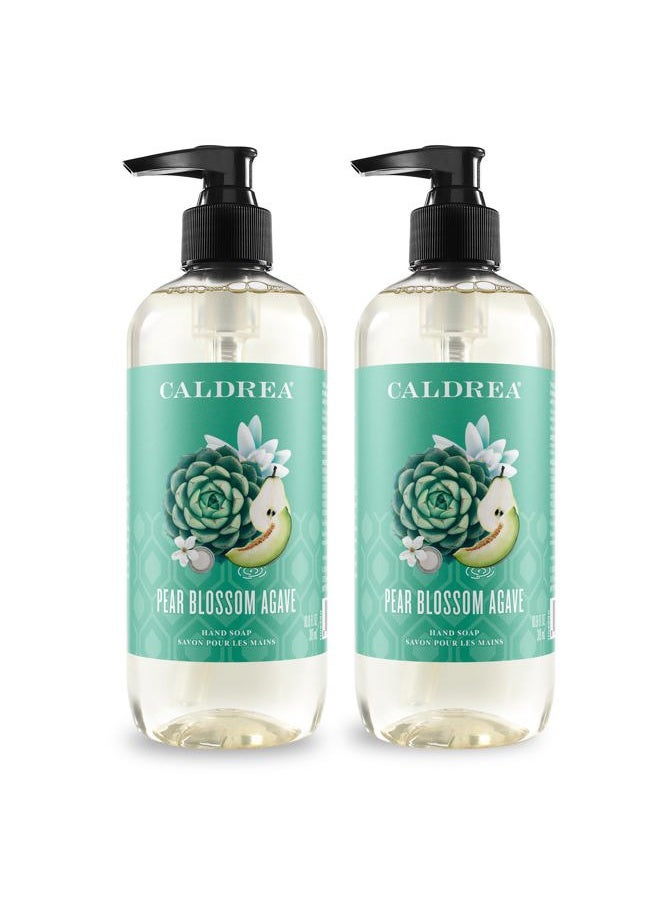 Hand Wash Soap, Aloe Vera Gel, Olive Oil and Essential Oils to Cleanse and Condition, Pear Blossom Agave, 10.8 oz, 2 Pack