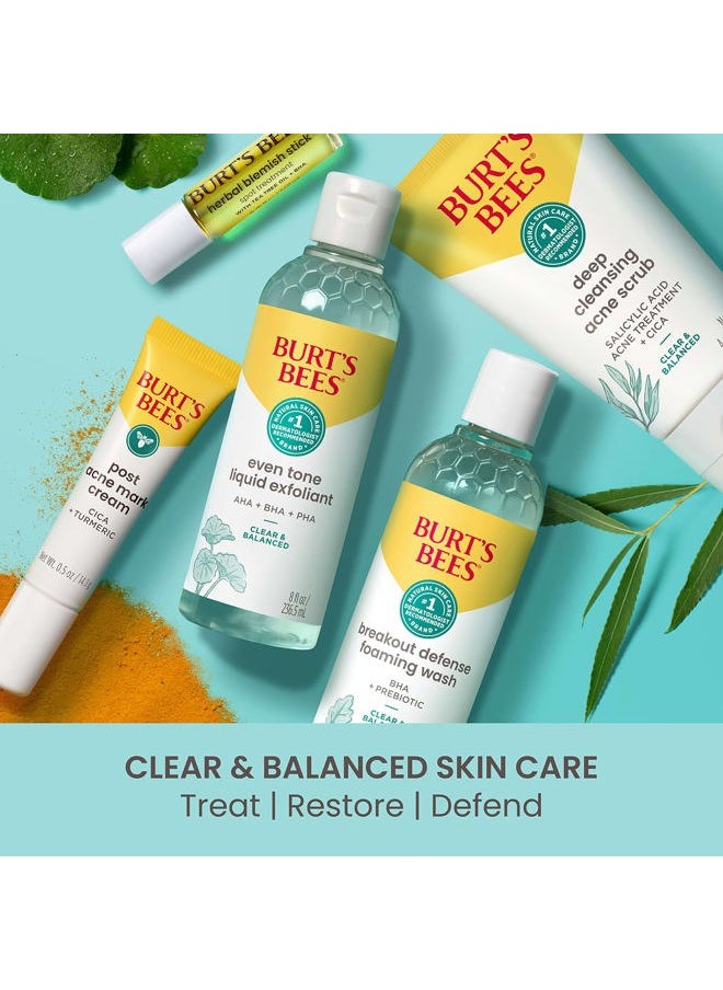 Herbal Blemish Stick, 0.26 Fl Oz (Pack of 2), Tea Tree Oil Infused, Soothing, Exfoliating, Cleansing, Unisex