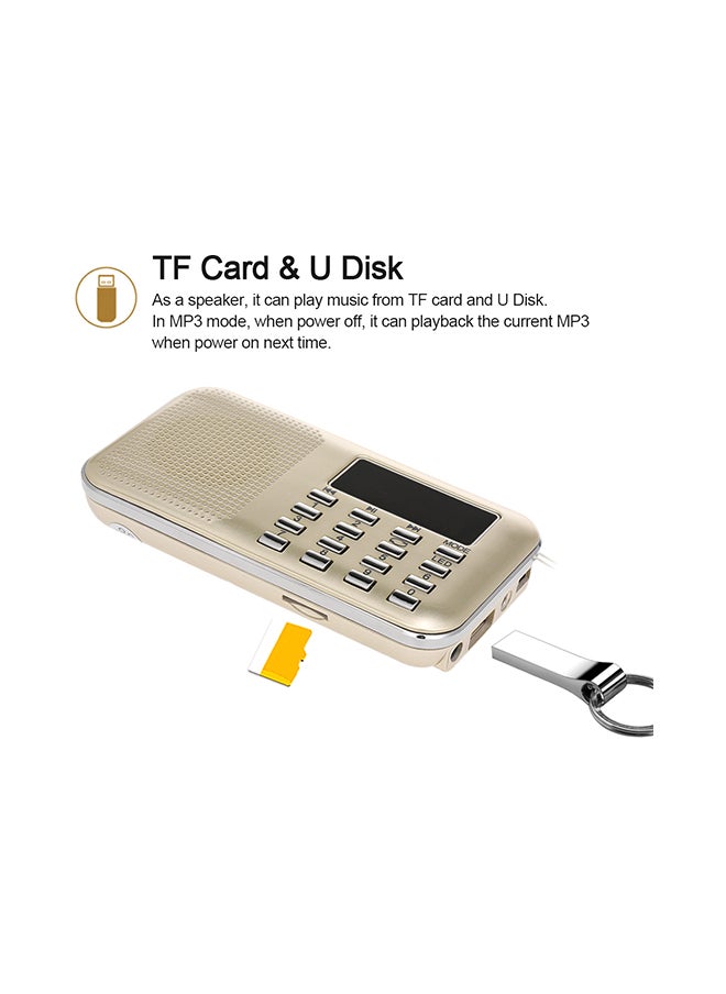 Mini FM Digital Radio V429 Gold