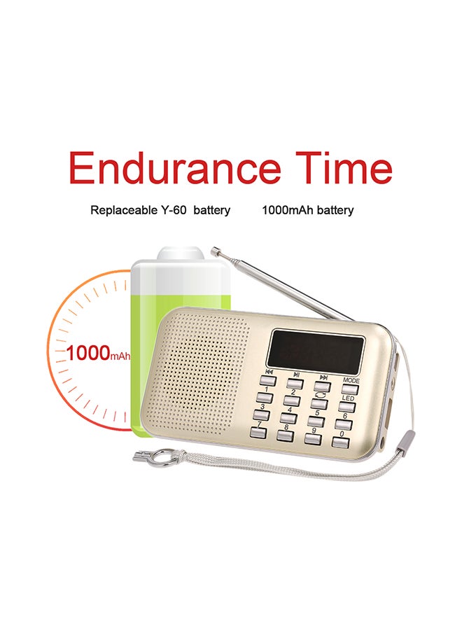 Mini FM Digital Radio V429 Gold