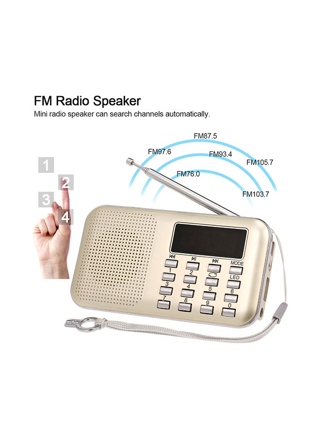 Mini FM Digital Radio V429 Gold