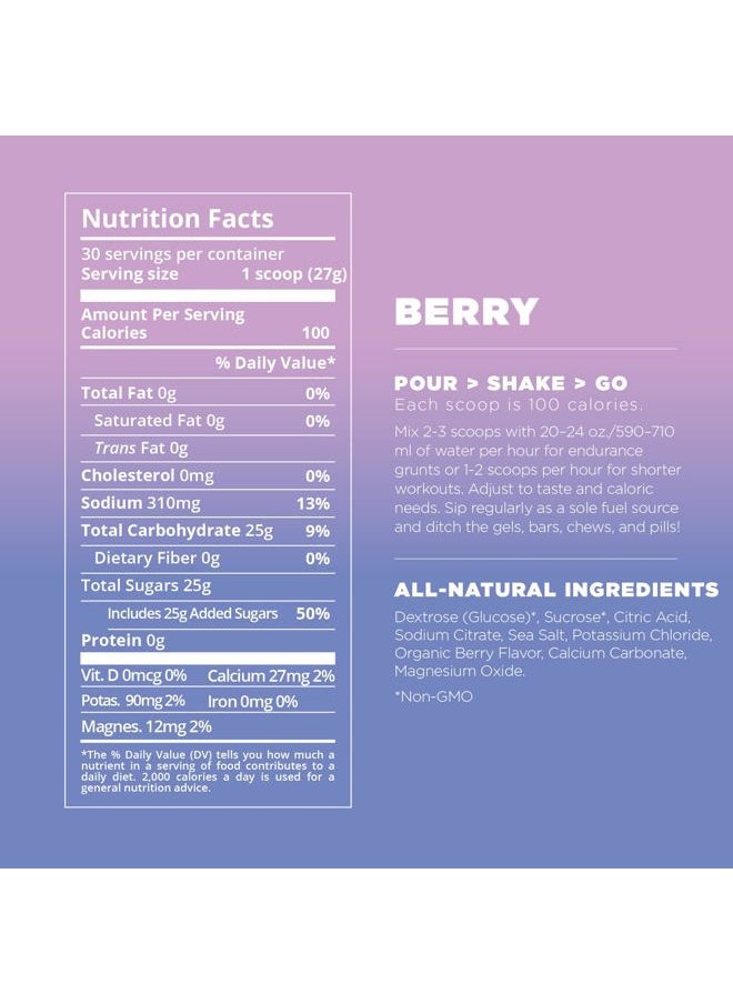 Endurance Fuel, Electrolyte & Hydration Sports Drink Mix Powder, Gluten-Free, Vegan, Berry, 30 Servings