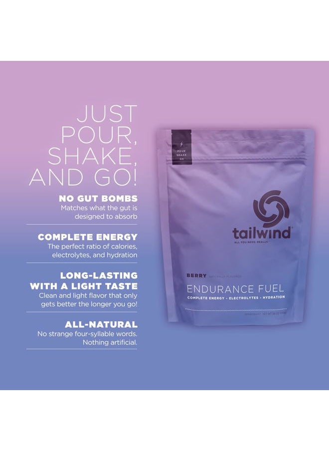 Endurance Fuel, Electrolyte & Hydration Sports Drink Mix Powder, Gluten-Free, Vegan, Berry, 30 Servings