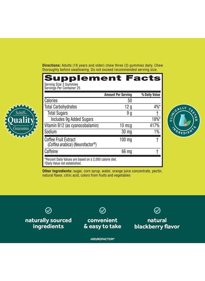 Brain + Energy Gummies, Nootropic Brain Supplements for Focus and Concentration with Neurofactor, Vitamin B12 & Caffeine for an Energy Boost*, 75ct Natural BlackBerry