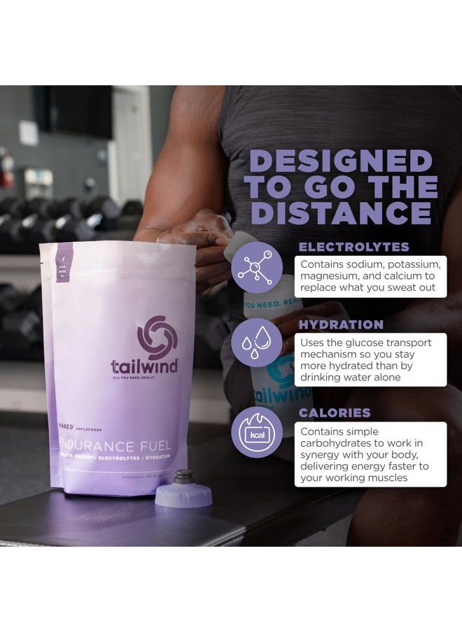 Endurance Fuel, Sports Drink Powder Mix with Electrolytes, Non-GMO, Free of Soy, Dairy, and Gluten, Vegan, Naked Unflavored, 50 Servings