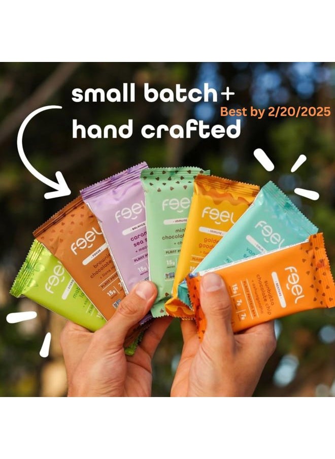 Feel Vegan Protein Bars - Keto, Gluten Free, Organic, 15g Protein - Dairy Free, Low Sugar - Variety Pack (6 Flavors, 6 Pack)