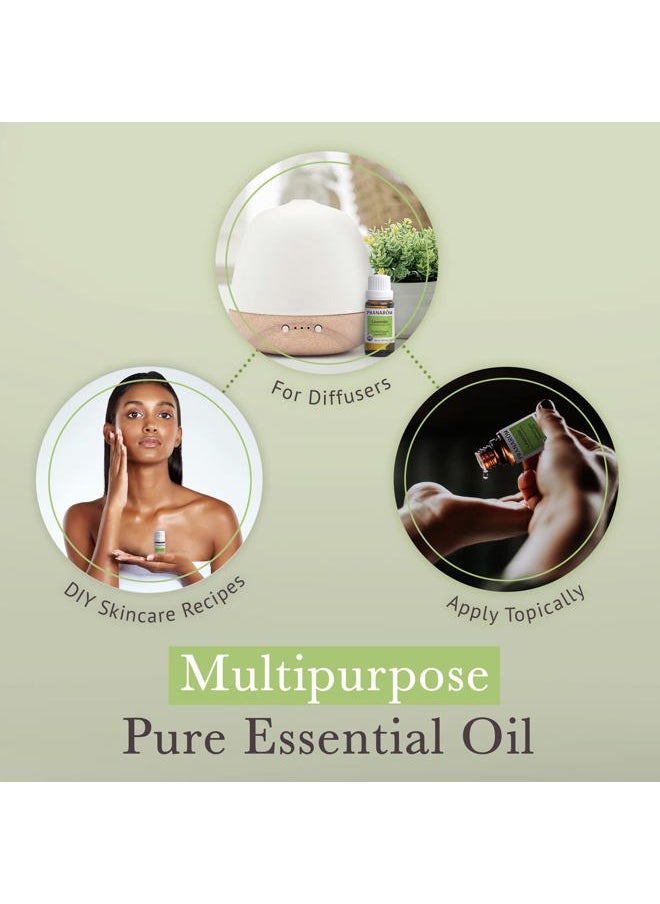 USDA Certified Organic Lavender Essential Oil (15ml), 100% Pure Undiluted Therapeutic Grade from French Alps for Aromatherapy, Diffuser, Healthy Skin & Hair, Massage, Relaxation