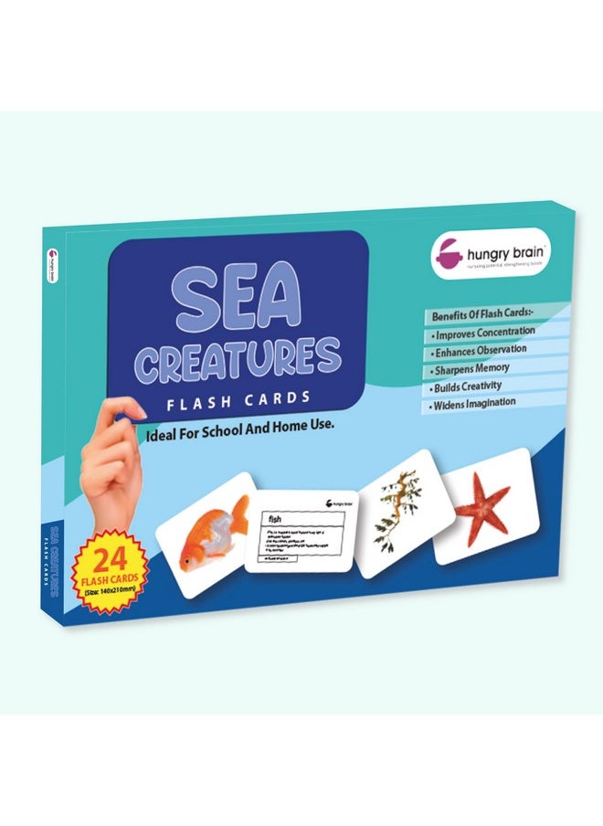 hungry brain Flash Cards for Toddlers, 24 Sea Creatures Flashcards, Double-Sided, Montessori, Educational, Kindergarten - Preschool Learning Activities, Gifts for Kids, 1, 2, 3, 4 Years Babies