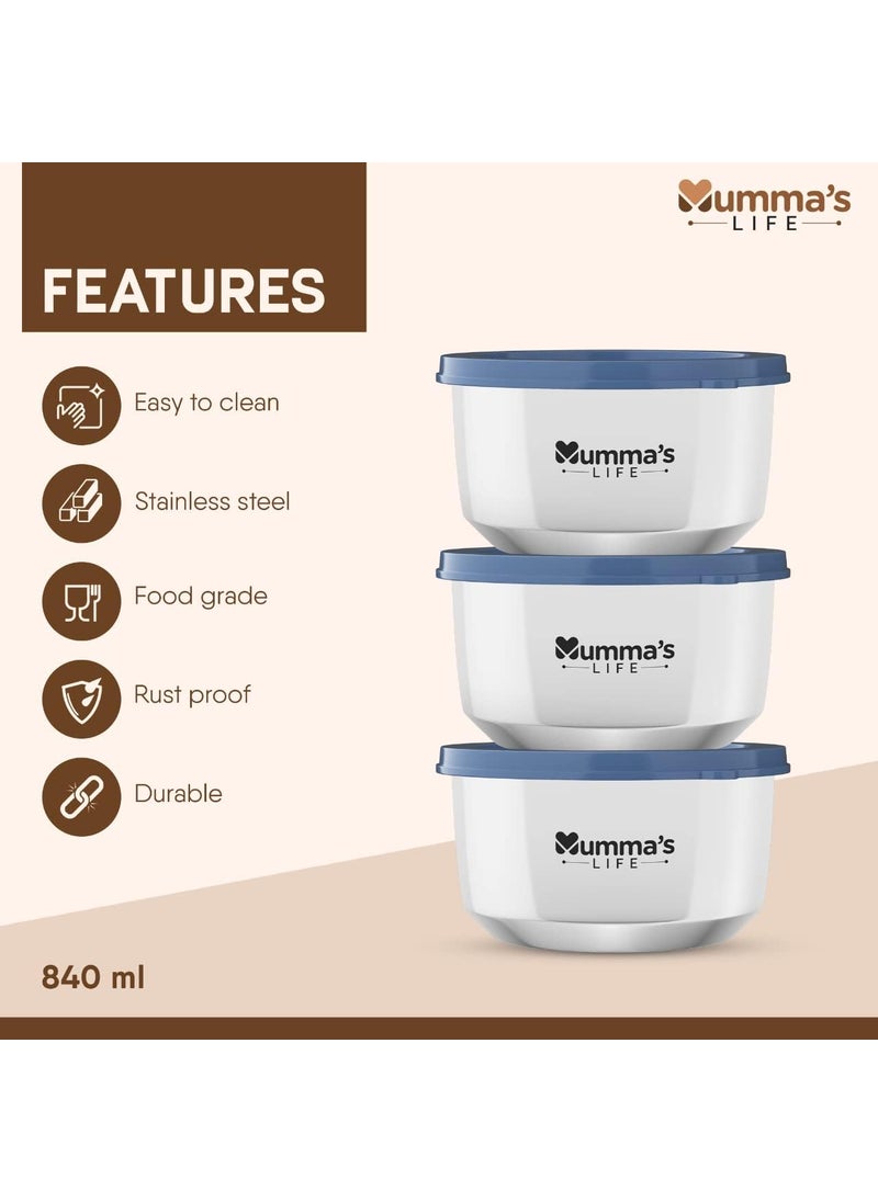 Mumma's LIFE Stainless Steel Lunch Box 3 Containers Lunch Box With Lid (Grey)