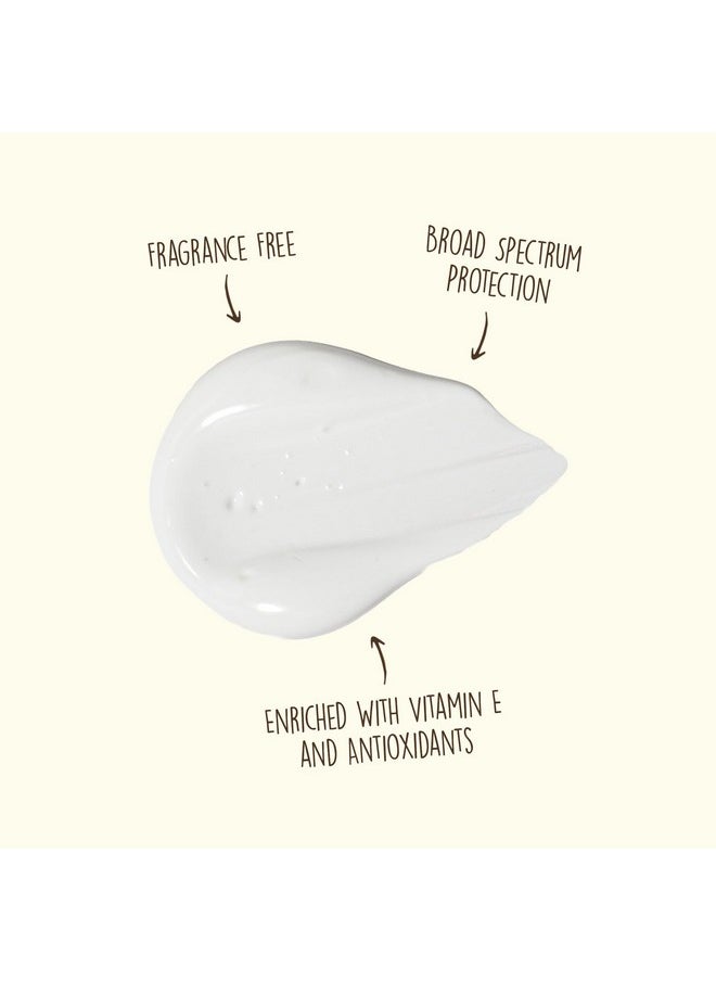 Sun Bum Original SPF 50 Sunscreen Face Lotion | Broad Spectrum Moisturizing Facial Sunblock with Vitamin E | Oil Free | Hawaii 104 Act Compliant (Octinoxate & Oxybenzone Free) | Travel Friendly | 3 oz