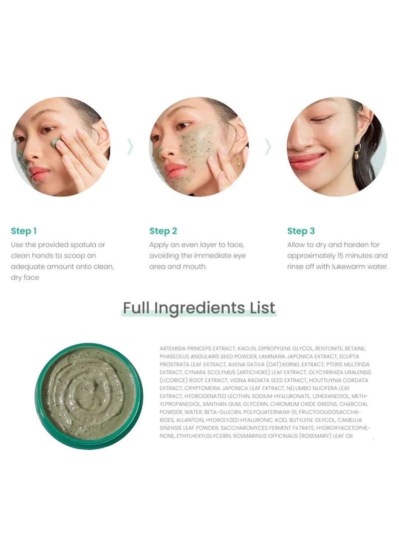 AXIS-Y Mugwort Pore Clarifying Wash Off pack 100ml