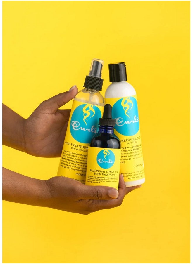 Curls Blueberry Bliss Blueberry & Coconut Hair Milk - 8 fl oz, Leave In Conditioner and Styler, Moisturizing & Nourishing, for Curly, Natural, and Coily Hair