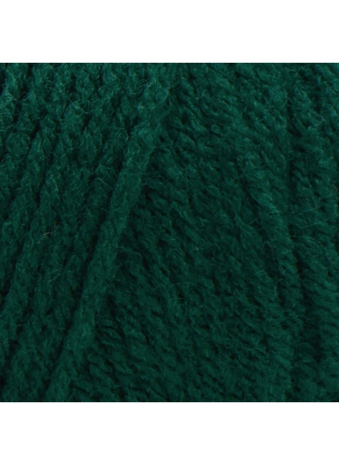 RED HEART Super Saver Yarn, Hunter Green