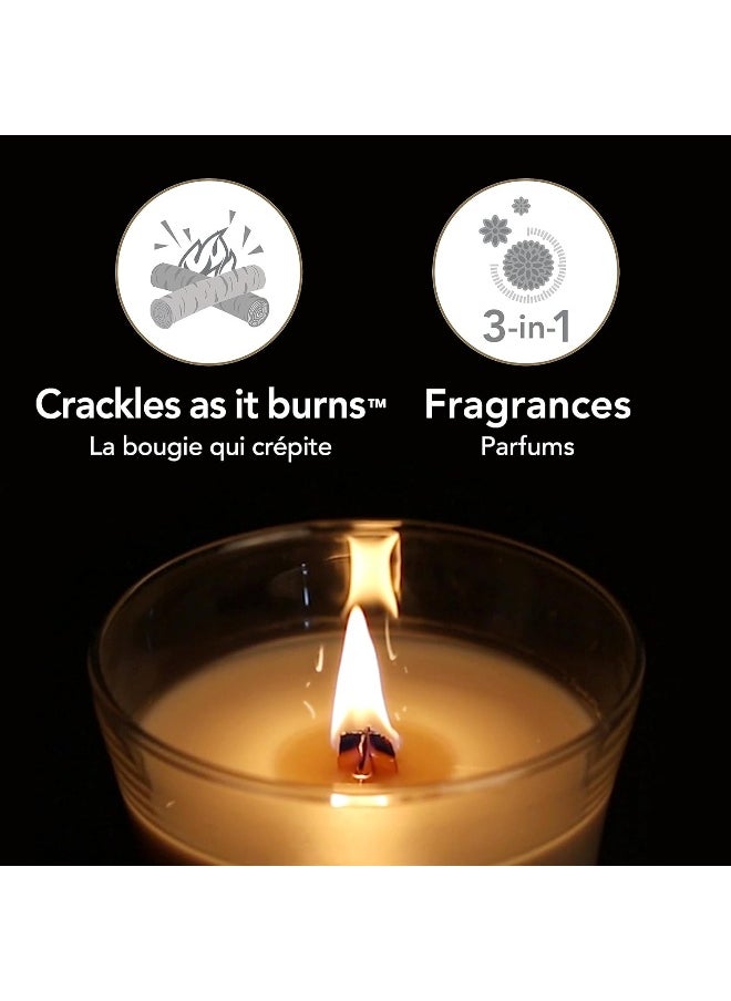 WoodWick Hourglass Scented Trilogy Candle with Pluswick Innovation, Sun-Ripened Berries, Medium