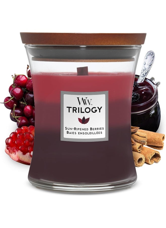 WoodWick Hourglass Scented Trilogy Candle with Pluswick Innovation, Sun-Ripened Berries, Medium