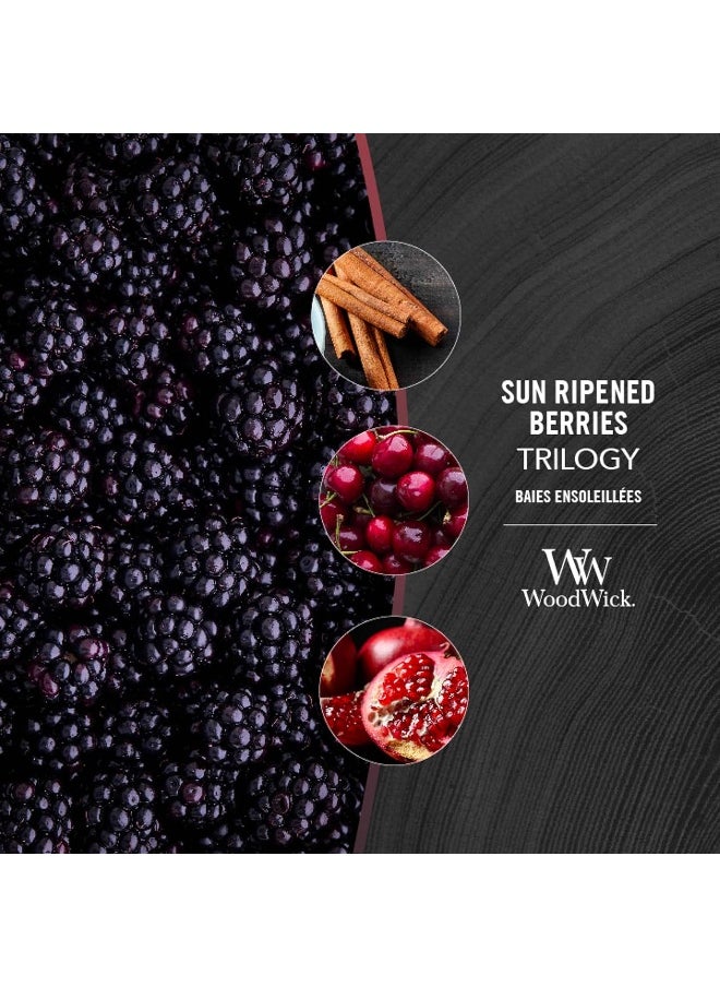 WoodWick Hourglass Scented Trilogy Candle with Pluswick Innovation, Sun-Ripened Berries, Medium