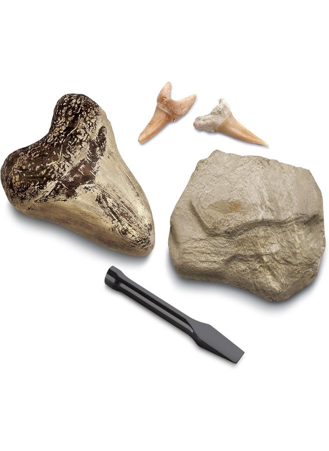 Discovery Mindblown Toy Excavation Kit Mini Shark Tooth 2Pc