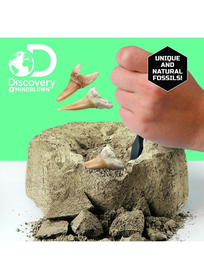 Discovery Mindblown Toy Excavation Kit Mini Shark Tooth 2Pc