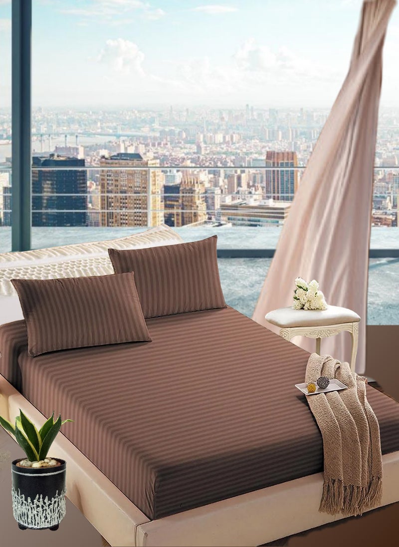 Pastel Brown Striped Cotton 3 Piece Set Deep PocketBed Sheet Sets 180x200+25cm