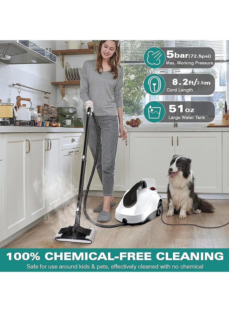 Steam Cleaner, 5Bar Steam Pressure, 5-8Min Heating Time, 2000W, 2L, for Floor Cleaning/Car Cleaning/Sofa Cleaning/Kitchen Cleaning/Toilet Cleaning/Washer Cleaning/Housekeeping