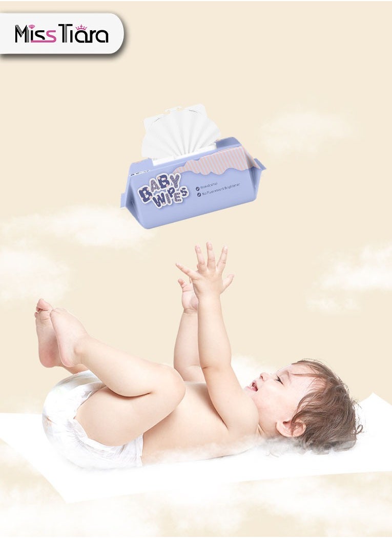 Baby Wipes, 99.9% Purified Water and Aloe Vera Extract, 480 Wet Wipes, 6 Packs, 100% Biodegradable, Hypoallergenic, Sensitive Protect Water Wipe