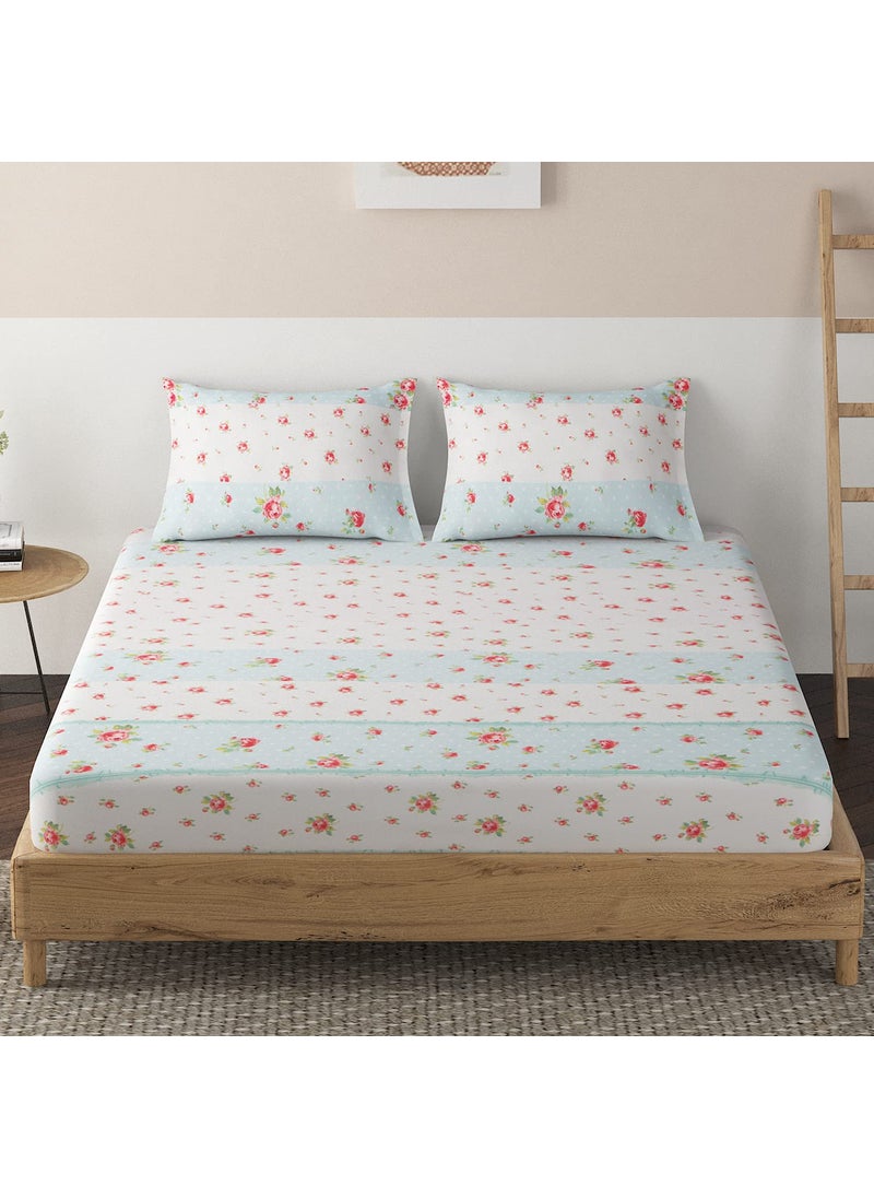 HOKIPO Brushed Microfiber 135 GSM Printed Fitted Bedsheets Single Bed, 78 x 36 inches with 1 Pillow Cover, Floral Stripes Light Blue (IN-632-D4)