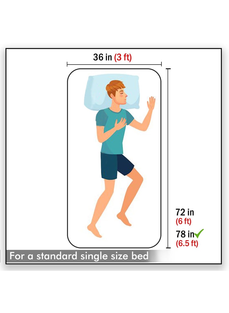 HOKIPO Brushed Microfiber 135 GSM Printed Fitted Bedsheets Single Bed, 78 x 36 inches with 1 Pillow Cover, Floral Stripes Light Blue (IN-632-D4)