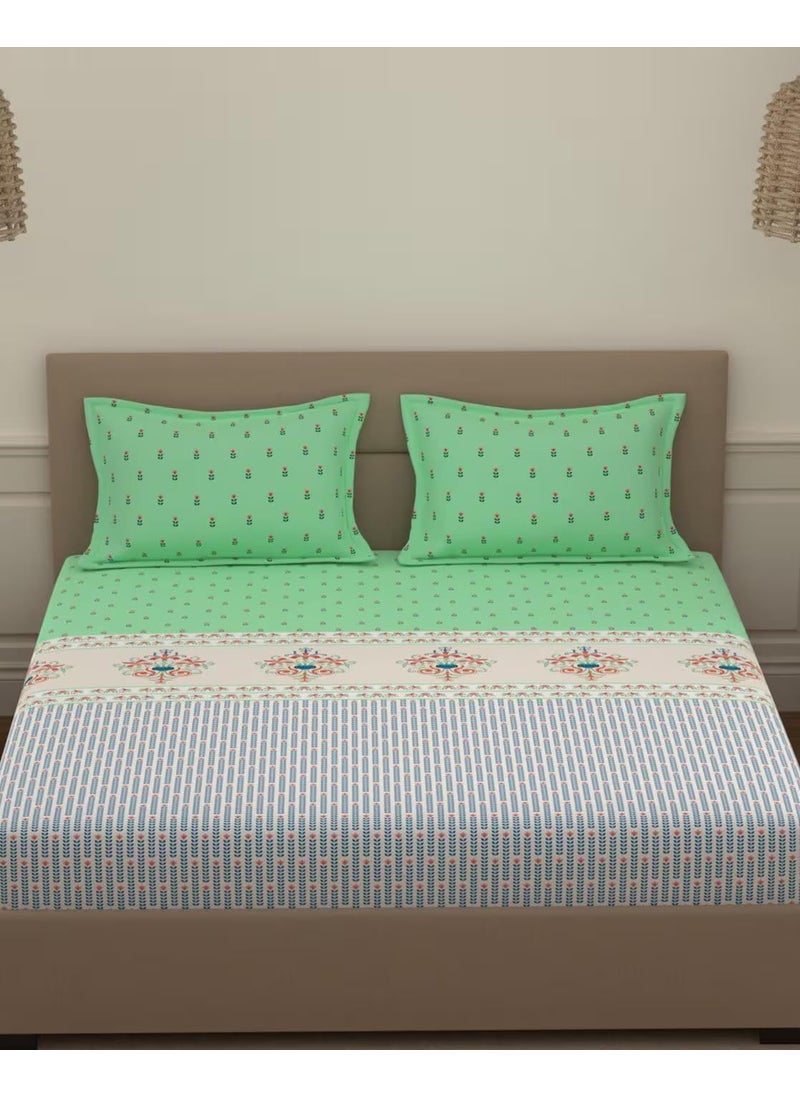 Portico New York Super King Size Multicolor Bedsheet with 2 Pillow Covers (274 x 274 CM) (Lavender 5)