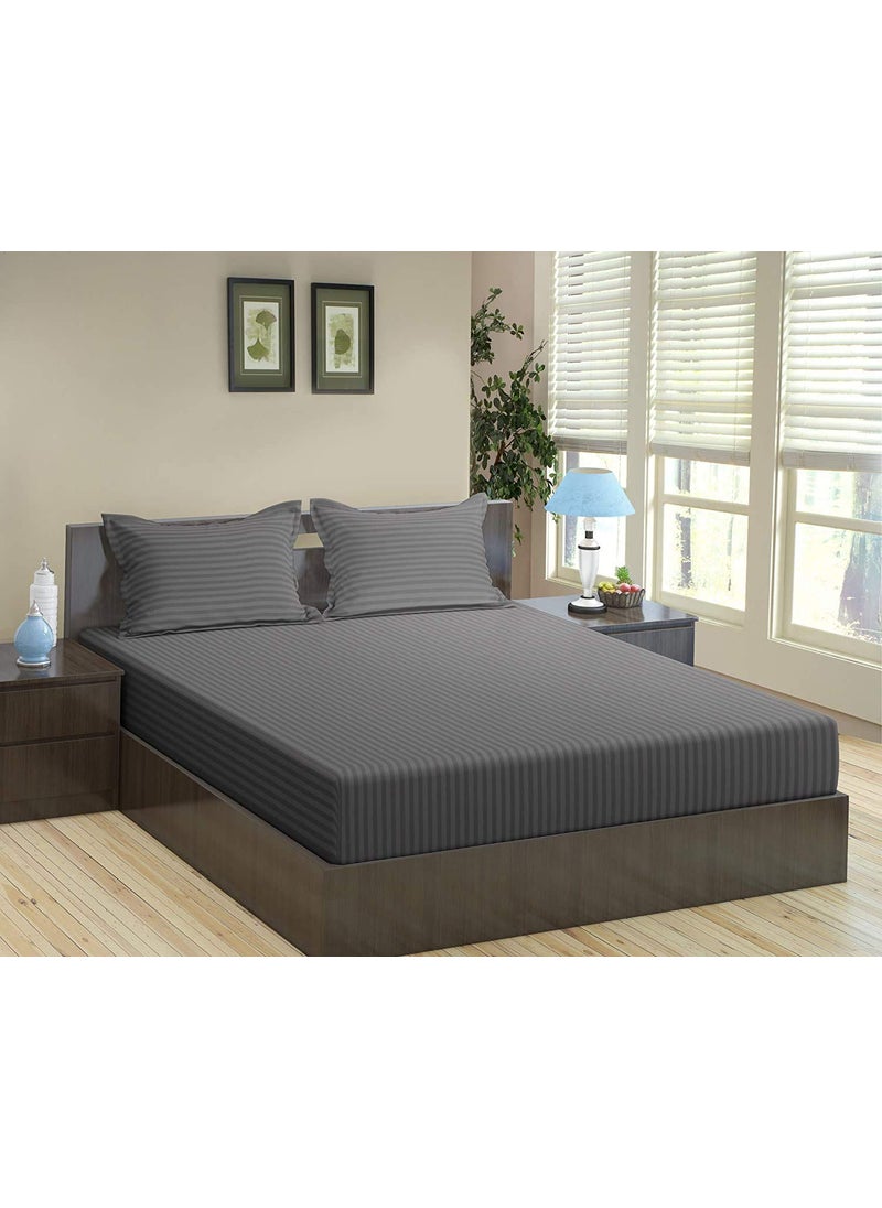 Trance Home Linen 200 TC Pure 100% Cotton Bedsheet Set of 4pcs-(1 Queen Size Fitted Sheet + 1 Queen Size Flat Sheet and 2 Pillow Covers,Dark Grey)