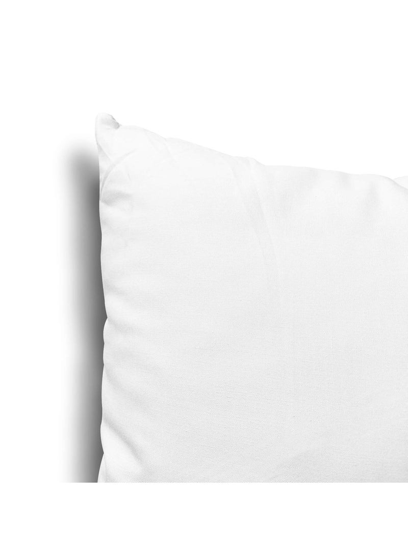 Edow Throw Pillow Inserts, Set of 2 Lightweight Down Alternative Polyester Pillow, Couch Cushion, Sham Stuffer, Machine Washable. (White, 16x16)