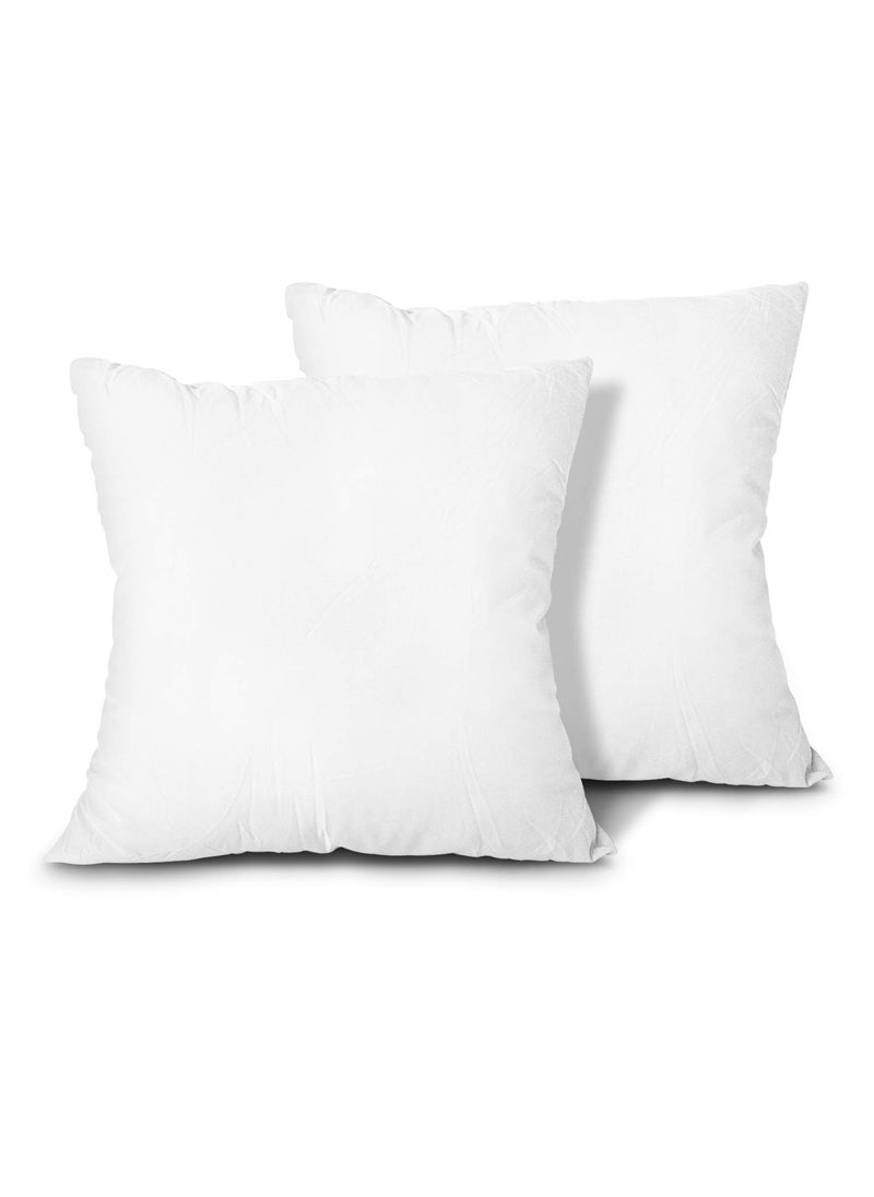 Edow Throw Pillow Inserts, Set of 2 Lightweight Down Alternative Polyester Pillow, Couch Cushion, Sham Stuffer, Machine Washable. (White, 16x16)