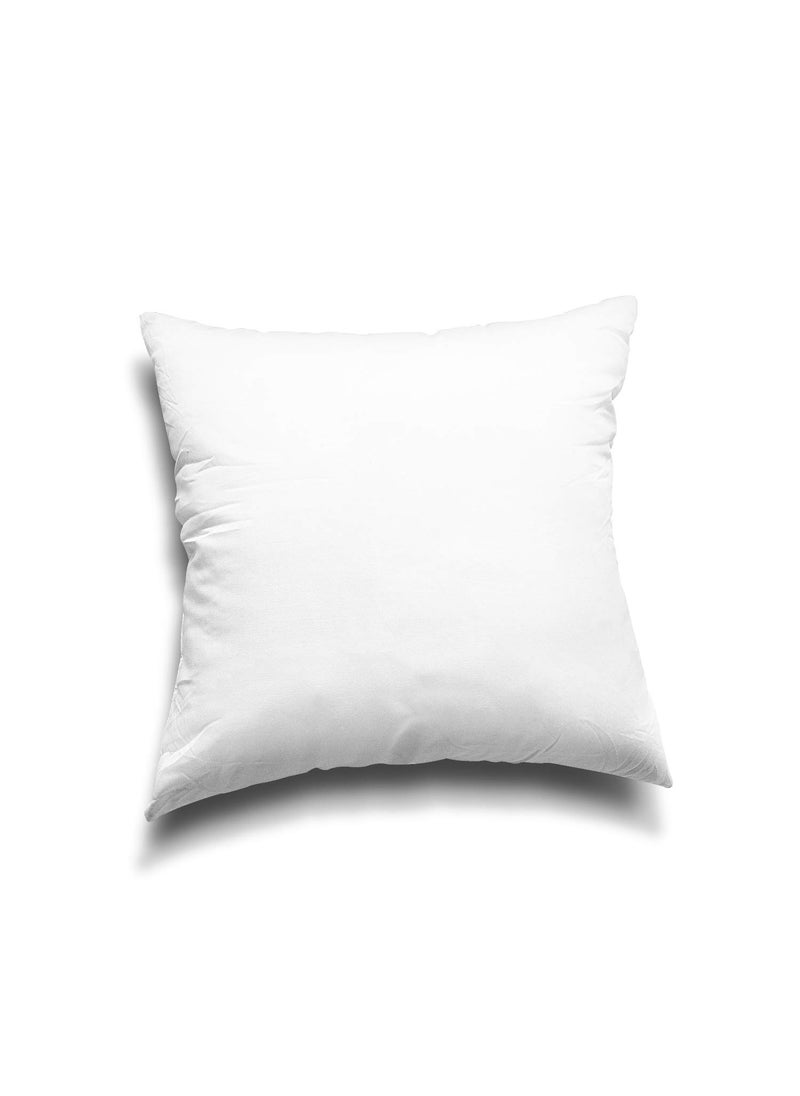 Edow Throw Pillow Inserts, Set of 2 Lightweight Down Alternative Polyester Pillow, Couch Cushion, Sham Stuffer, Machine Washable. (White, 16x16)