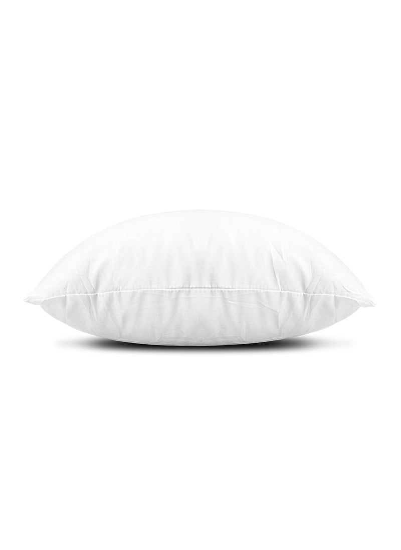 Edow Throw Pillow Inserts, Set of 2 Lightweight Down Alternative Polyester Pillow, Couch Cushion, Sham Stuffer, Machine Washable. (White, 16x16)