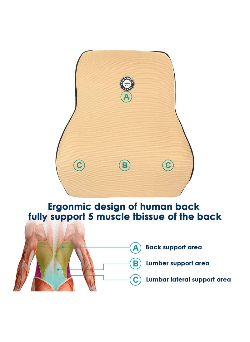 Oshotto Air Fabric Lumbar Support for Office Chair | Back Pillow for Car | Memory Foam Orthopedic Cushion - Provides Low Back Support Compatible with Skoda Rapid (Beige)