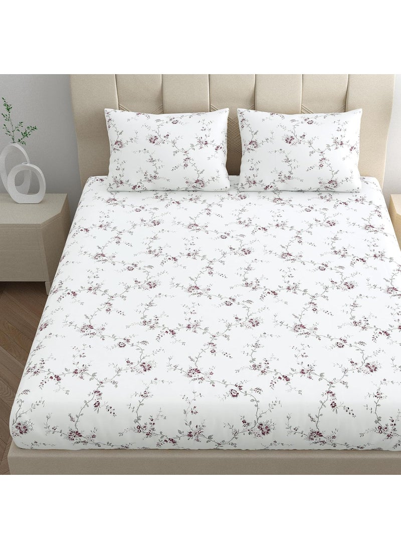 LINENWALAS 100% Cotton Fitted Bed Sheet for King Size Bed, Printed All Around Elastic Bedsheet (72 x 78 Inches) with 2 Pillow Covers | 210 TC Soft, Breathable, Luxury Bedsheet (Vineyard)