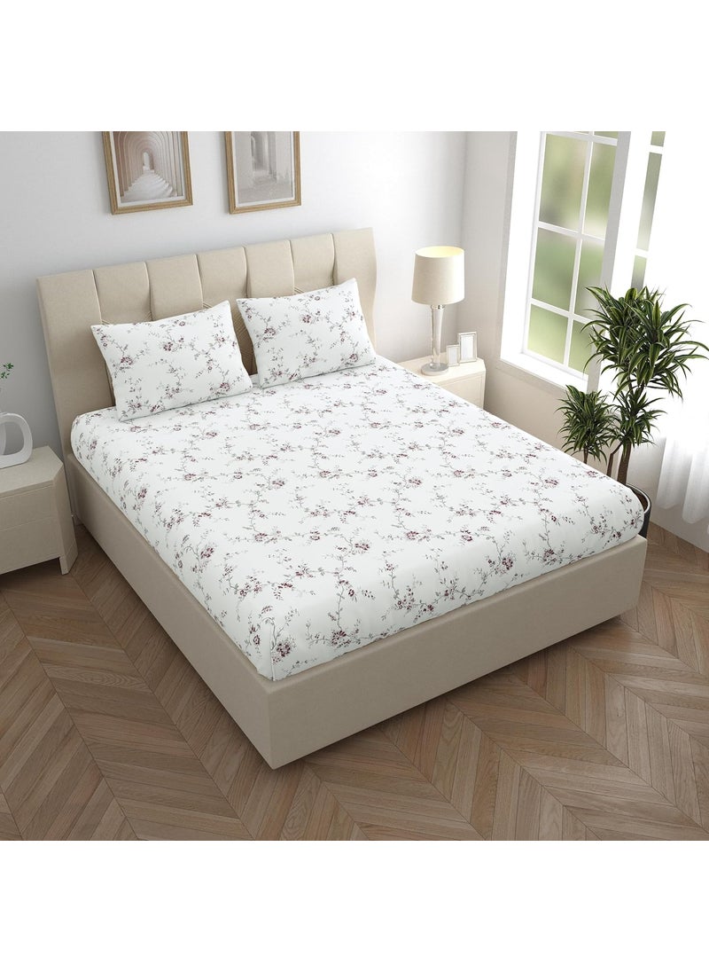 LINENWALAS 100% Cotton Fitted Bed Sheet for King Size Bed, Printed All Around Elastic Bedsheet (72 x 78 Inches) with 2 Pillow Covers | 210 TC Soft, Breathable, Luxury Bedsheet (Vineyard)