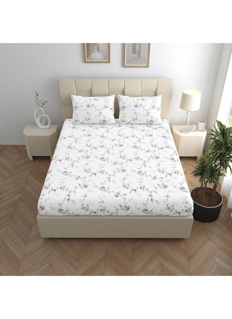 LINENWALAS 100% Cotton Fitted Bed Sheet for King Size Bed, Printed All Around Elastic Bedsheet (72 x 78 Inches) with 2 Pillow Covers | 210 TC Soft, Breathable, Luxury Bedsheet (Vineyard)