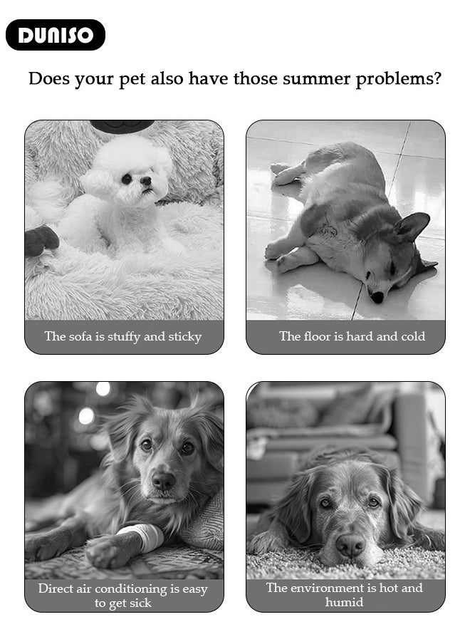 Pet Bed for Cats, Small, Medium Dogs With Nonskid Bottom, Washable All-season Pet Sofa Bed for Indoor, Outdoor, Outside Sleep Sleeping Puppy, Kitten, Pet