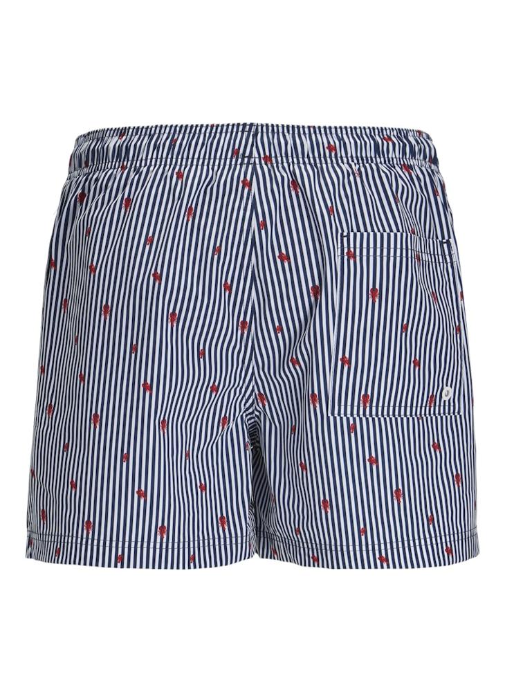 Jpstmaui Jjswim Mini Stripe Shorts