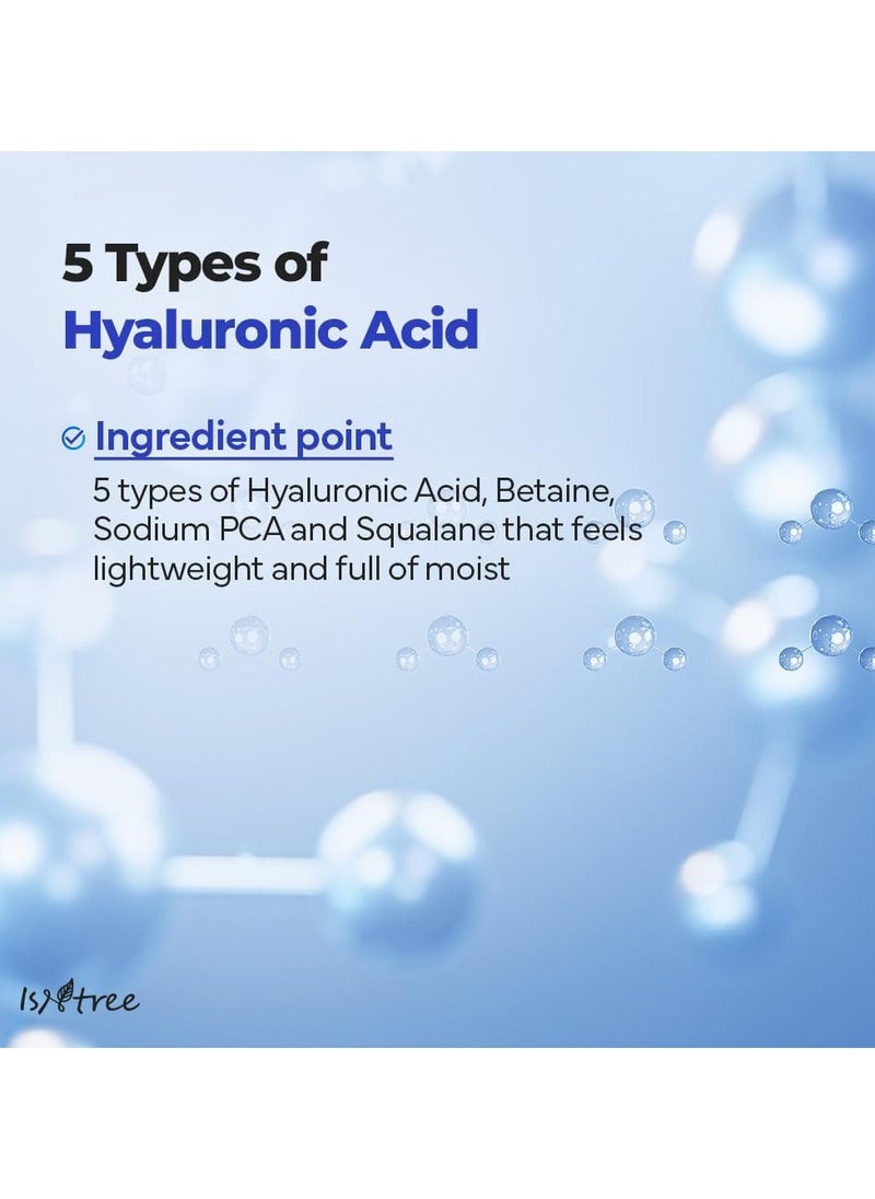 ISNTREE Hyaluronic Acid Aqua Gel Cream 100ml – Lightweight Hydrating Moisturizer for Oily and Combination Skin, Sebum Control, Non-Greasy Formula, Korean Skincare