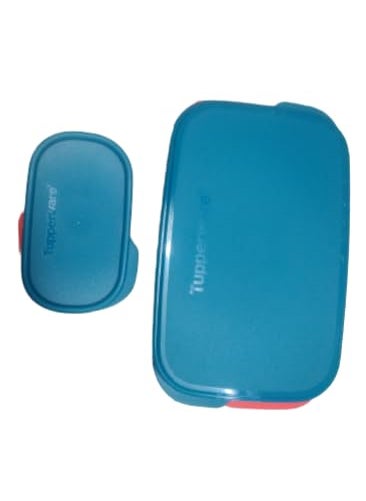 Tupperware Tupin Plastic Lunch Box, 500 ml (10-inch/Medium, Pink)