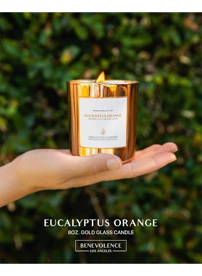 Eucalyptus & Orange Scented Candles for Home Scented | Wood Wicked Candles | Eucalyptus Candle | 8 oz 45 Hour Burn, All Natural Soy Candle, Calming Aromatherapy Candles in Rose Gold Glass Jar