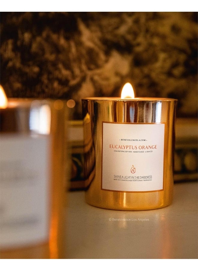 Eucalyptus & Orange Scented Candles for Home Scented | Wood Wicked Candles | Eucalyptus Candle | 8 oz 45 Hour Burn, All Natural Soy Candle, Calming Aromatherapy Candles in Rose Gold Glass Jar