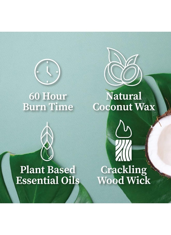 Hemlock Park Crackling Wood Wick Candle Handcrafted with Organic Coconut Wax and Essential Oils (Blood Orange Sage, Standard 8 oz)