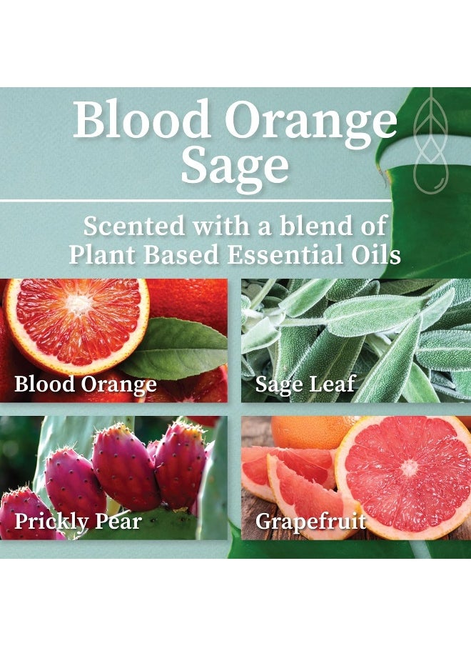 Hemlock Park Crackling Wood Wick Candle Handcrafted with Organic Coconut Wax and Essential Oils (Blood Orange Sage, Standard 8 oz)