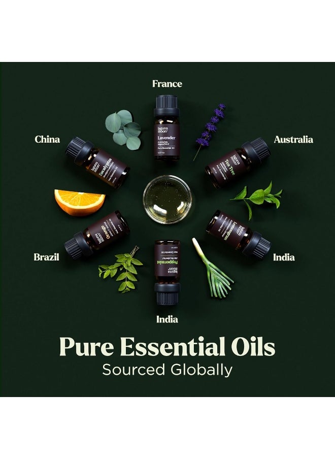 Essential Oils Set - Top 6 Blends for Diffusers, Home Care, Candle Making Scents, Fragrance, Aromatherapy, Humidifiers, Gifts