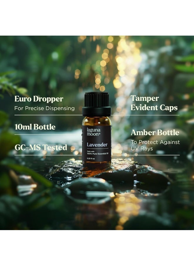 Essential Oils Set - Top 6 Blends for Diffusers, Home Care, Candle Making Scents, Fragrance, Aromatherapy, Humidifiers, Gifts